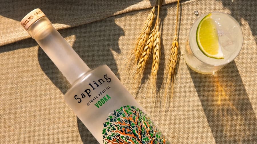 Sapling Spirits product